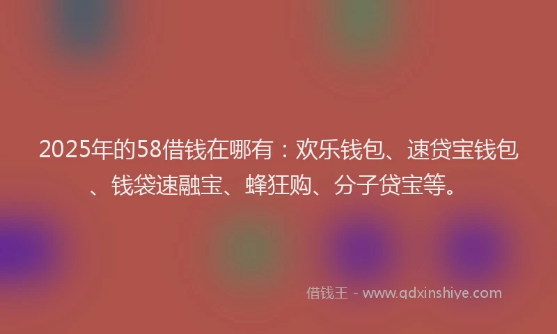 2025年的58借钱在哪有：欢乐钱包、速贷宝钱包、钱袋速融宝、蜂狂购、分子贷宝等。
