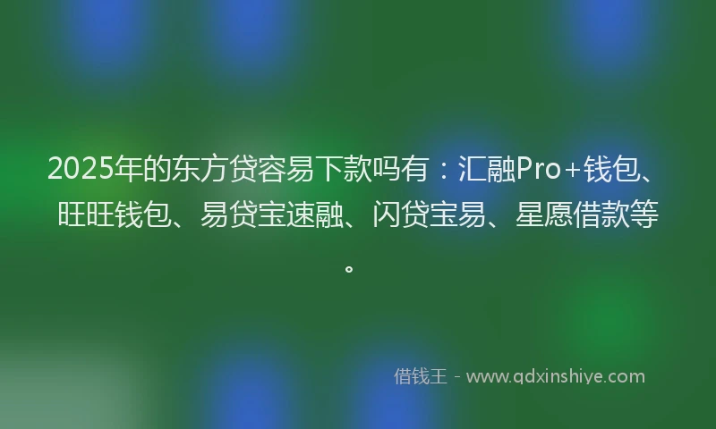 2025年的东方贷容易下款吗有：汇融Pro+钱包、旺旺钱包、易贷宝速融、闪贷宝易、星愿借款等。