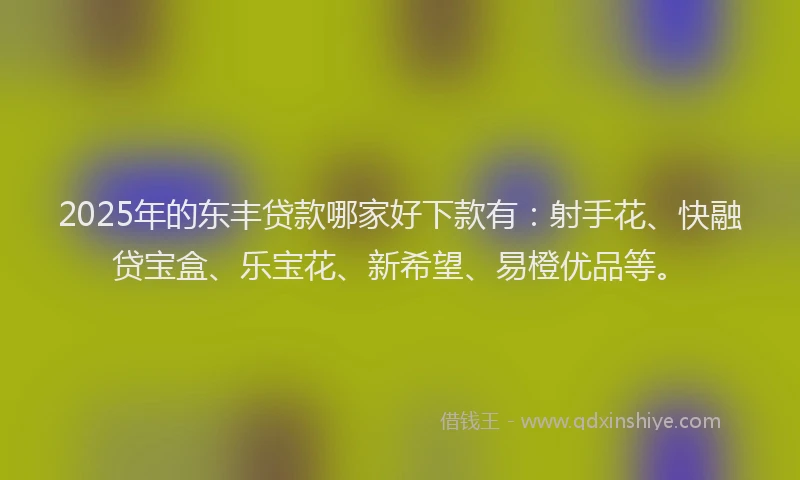 2025年的东丰贷款哪家好下款有：射手花、快融贷宝盒、乐宝花、新希望、易橙优品等。