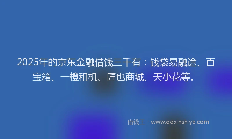 2025年的京东金融借钱三千有：钱袋易融途、百宝箱、一橙租机、匠也商城、天小花等。