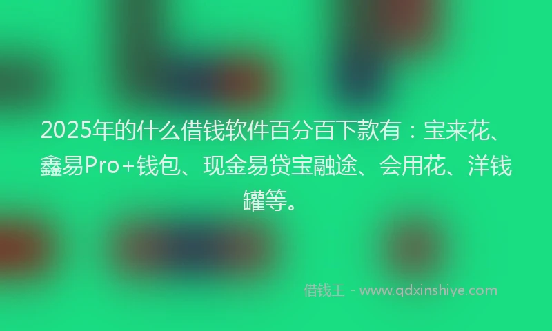 2025年的什么借钱软件百分百下款有：宝来花、鑫易Pro+钱包、现金易贷宝融途、会用花、洋钱罐等。