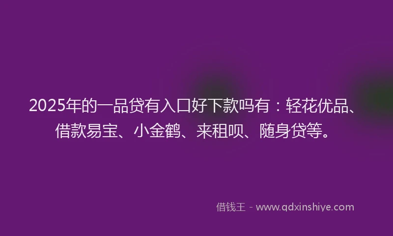 2025年的一品贷有入口好下款吗有：轻花优品、借款易宝、小金鹤、来租呗、随身贷等。