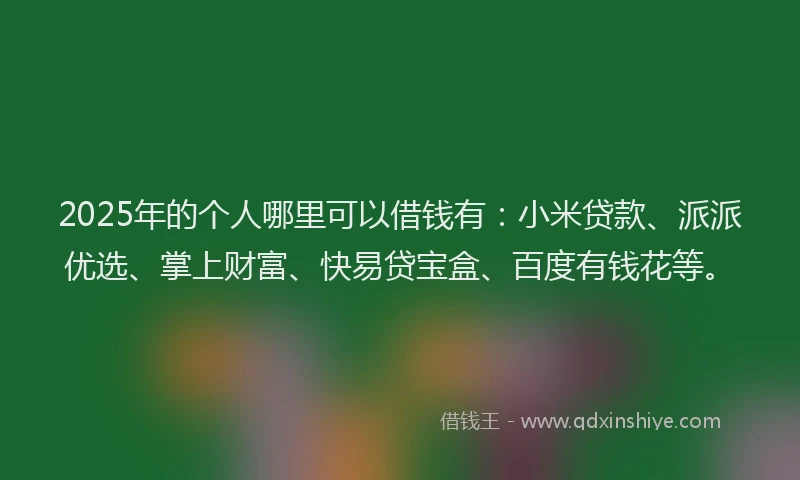 2025年的个人哪里可以借钱有：小米贷款、派派优选、掌上财富、快易贷宝盒、百度有钱花等。