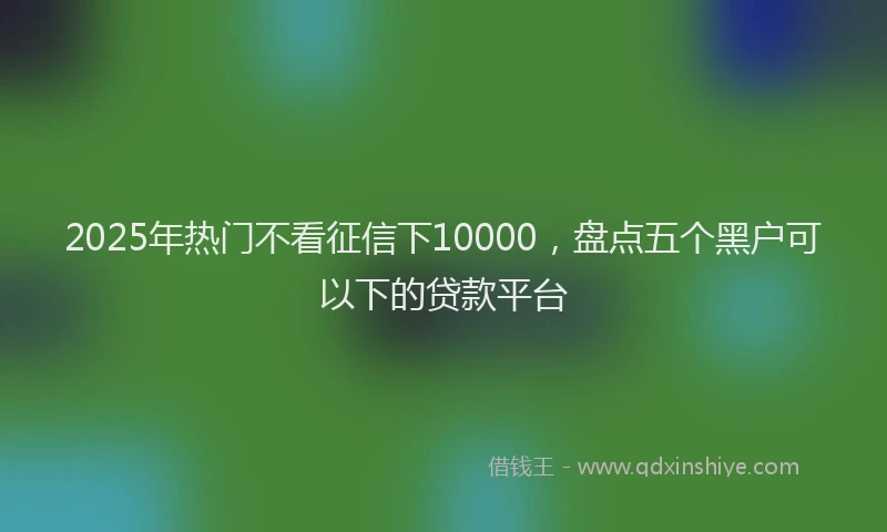 2025年热门不看征信下10000，盘点五个黑户可以下的贷款平台