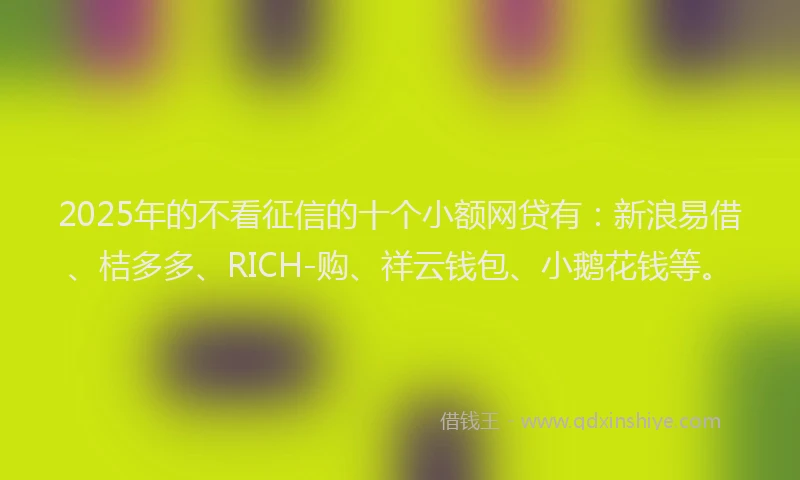 2025年的不看征信的十个小额网贷有：新浪易借、桔多多、RICH-购、祥云钱包、小鹅花钱等。