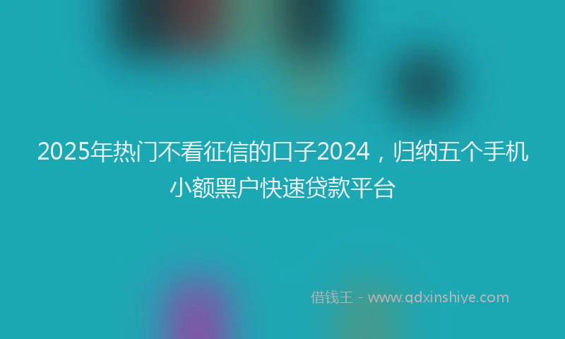 2025年热门不看征信的口子2024，归纳五个手机小额黑户快速贷款平台