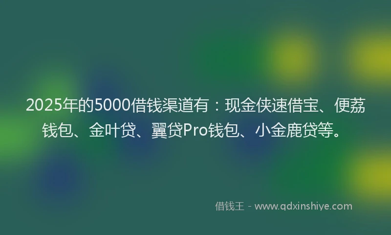 2025年的5000借钱渠道有：现金侠速借宝、便荔钱包、金叶贷、翼贷Pro钱包、小金鹿贷等。