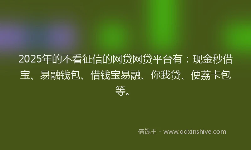 2025年的不看征信的网贷网贷平台有：现金秒借宝、易融钱包、借钱宝易融、你我贷、便荔卡包等。