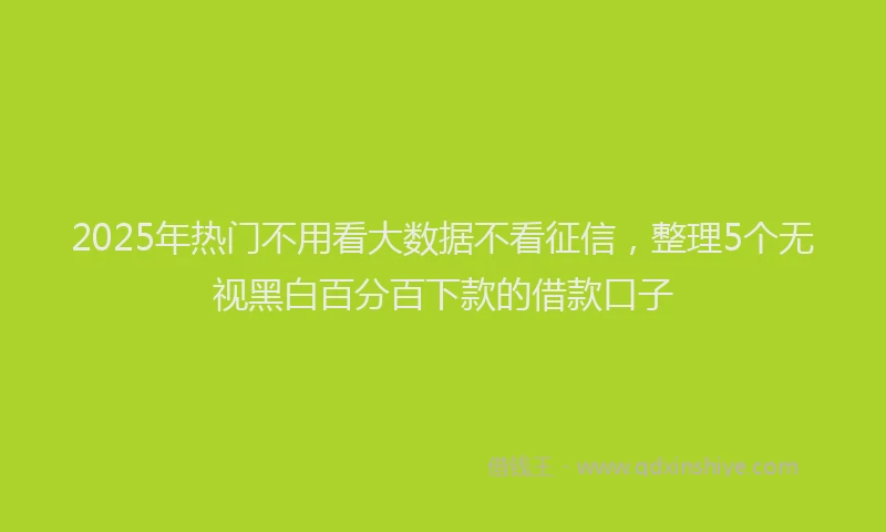 2025年热门不用看大数据不看征信，整理5个无视黑白百分百下款的借款口子