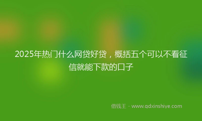 2025年热门什么网贷好贷，概括五个可以不看征信就能下款的口子