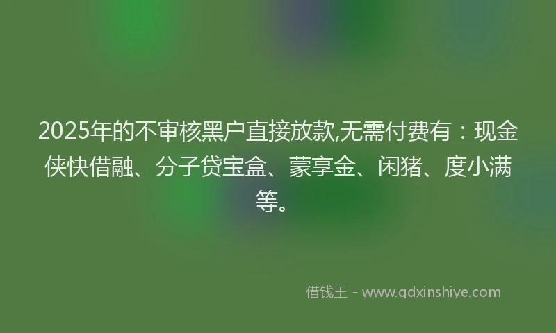 2025年的不审核黑户直接放款,无需付费有：现金侠快借融、分子贷宝盒、蒙享金、闲猪、度小满等。