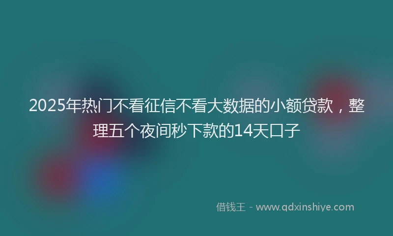 2025年热门不看征信不看大数据的小额贷款，整理五个夜间秒下款的14天口子