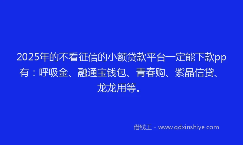 2025年的不看征信的小额贷款平台一定能下款pp有：呼吸金、融通宝钱包、青春购、紫晶信贷、龙龙用等。