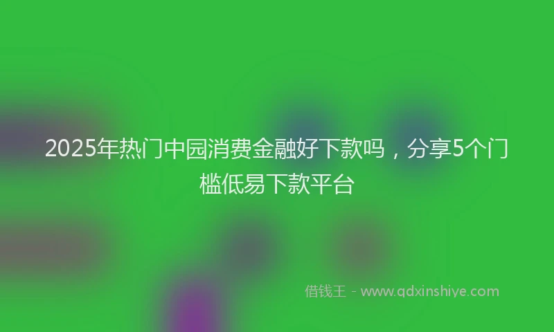 2025年热门中园消费金融好下款吗，分享5个门槛低易下款平台