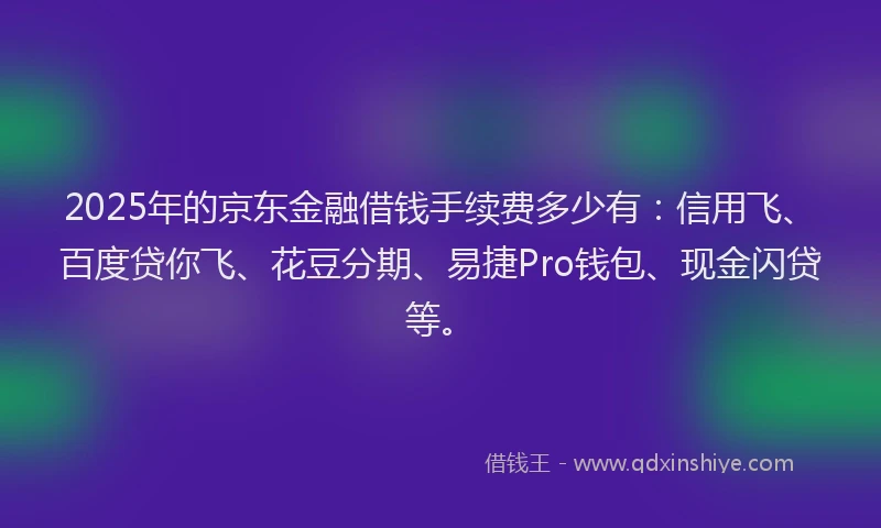 2025年的京东金融借钱手续费多少有：信用飞、百度贷你飞、花豆分期、易捷Pro钱包、现金闪贷等。