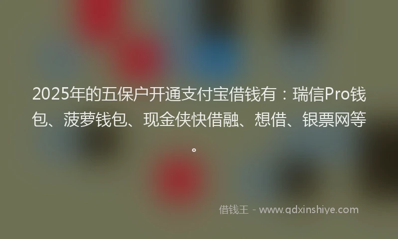 2025年的五保户开通支付宝借钱有：瑞信Pro钱包、菠萝钱包、现金侠快借融、想借、银票网等。