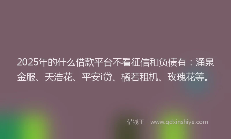 2025年的什么借款平台不看征信和负债有：涌泉金服、天浩花、平安i贷、橘若租机、玫瑰花等。