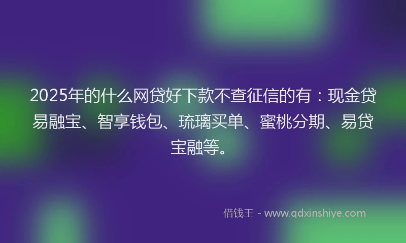 2025年的什么网贷好下款不查征信的有：现金贷易融宝、智享钱包、琉璃买单、蜜桃分期、易贷宝融等。