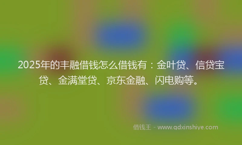2025年的丰融借钱怎么借钱有：金叶贷、信贷宝贷、金满堂贷、京东金融、闪电购等。