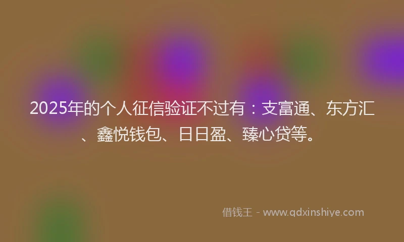 2025年的个人征信验证不过有：支富通、东方汇、鑫悦钱包、日日盈、臻心贷等。