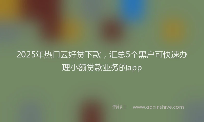 2025年热门云好贷下款，汇总5个黑户可快速办理小额贷款业务的app