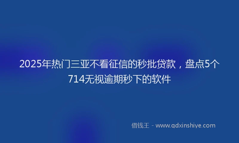 2025年热门三亚不看征信的秒批贷款，盘点5个714无视逾期秒下的软件