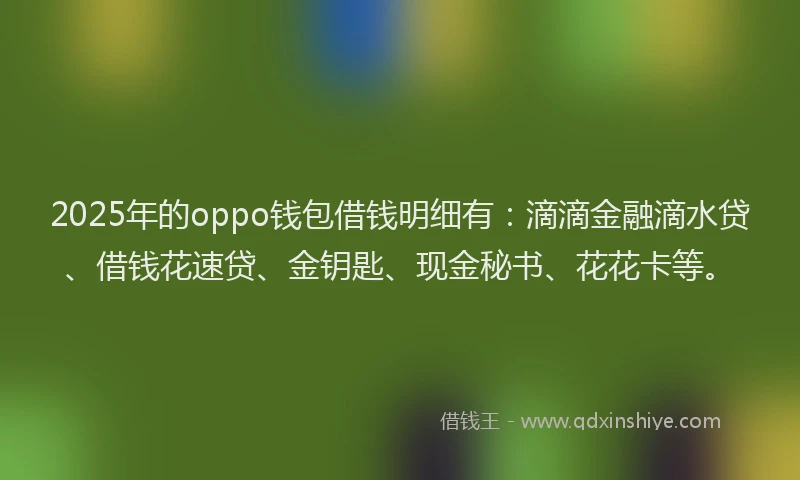 2025年的oppo钱包借钱明细有：滴滴金融滴水贷、借钱花速贷、金钥匙、现金秘书、花花卡等。