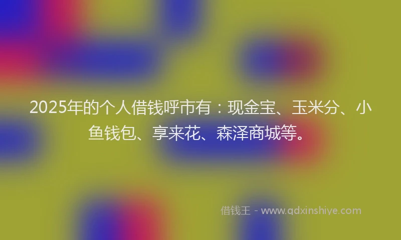 2025年的个人借钱呼市有：现金宝、玉米分、小鱼钱包、享来花、森泽商城等。