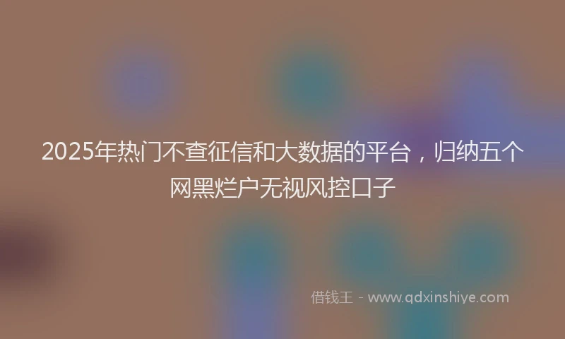 2025年热门不查征信和大数据的平台，归纳五个网黑烂户无视风控口子