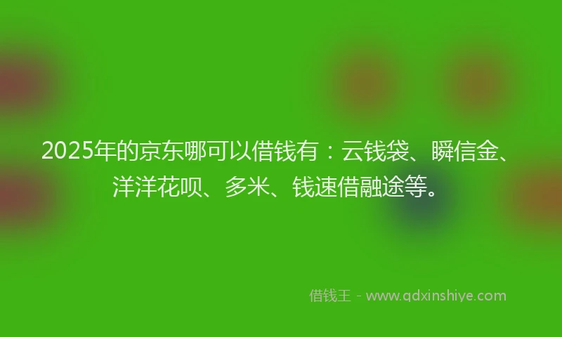 2025年的京东哪可以借钱有：云钱袋、瞬信金、洋洋花呗、多米、钱速借融途等。