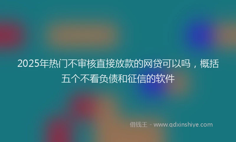 2025年热门不审核直接放款的网贷可以吗，概括五个不看负债和征信的软件