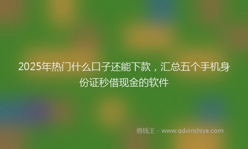 2025年热门什么口子还能下款，汇总五个手机身份证秒借现金的软件