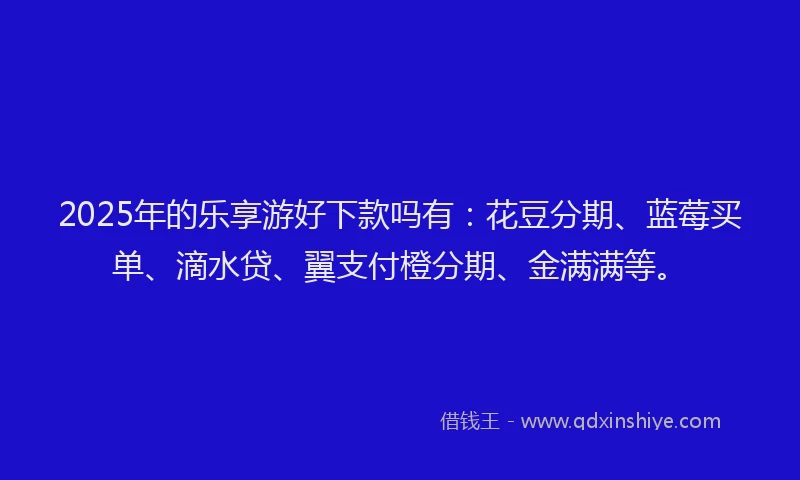 2025年的乐享游好下款吗有：花豆分期、蓝莓买单、滴水贷、翼支付橙分期、金满满等。