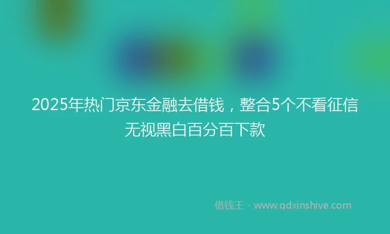 2025年热门京东金融去借钱，整合5个不看征信无视黑白百分百下款