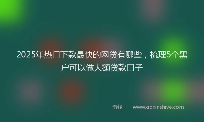 2025年热门下款最快的网贷有哪些，梳理5个黑户可以做大额贷款口子