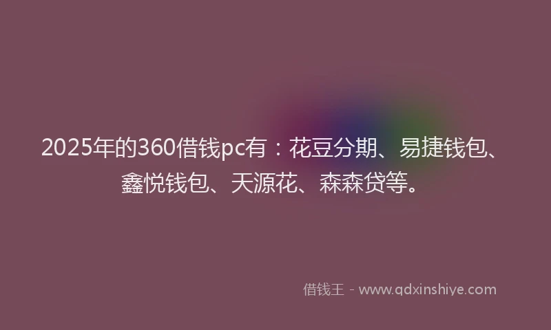 2025年的360借钱pc有：花豆分期、易捷钱包、鑫悦钱包、天源花、森森贷等。