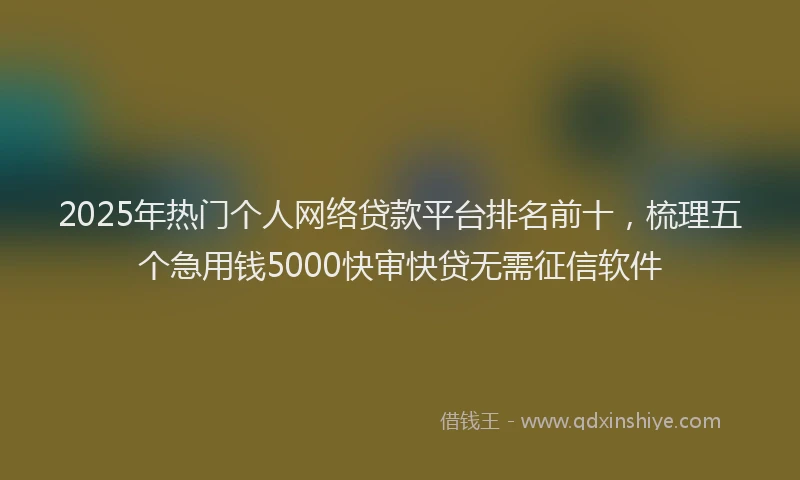 2025年热门个人网络贷款平台排名前十，梳理五个急用钱5000快审快贷无需征信软件
