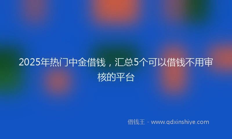 2025年热门中金借钱，汇总5个可以借钱不用审核的平台
