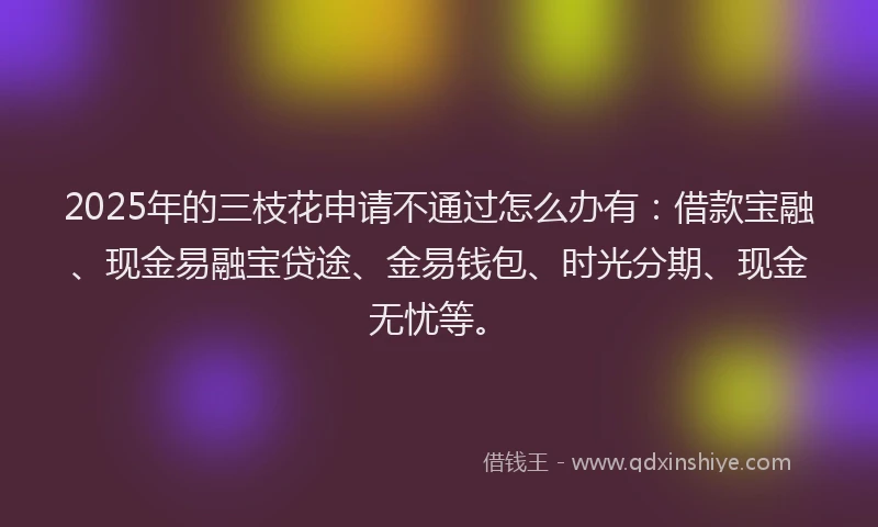 2025年的三枝花申请不通过怎么办有：借款宝融、现金易融宝贷途、金易钱包、时光分期、现金无忧等。