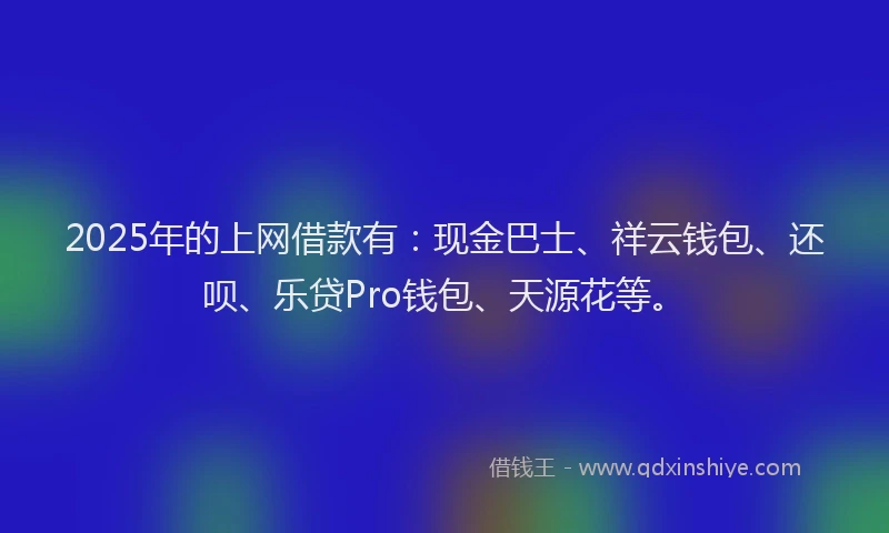 2025年的上网借款有：现金巴士、祥云钱包、还呗、乐贷Pro钱包、天源花等。