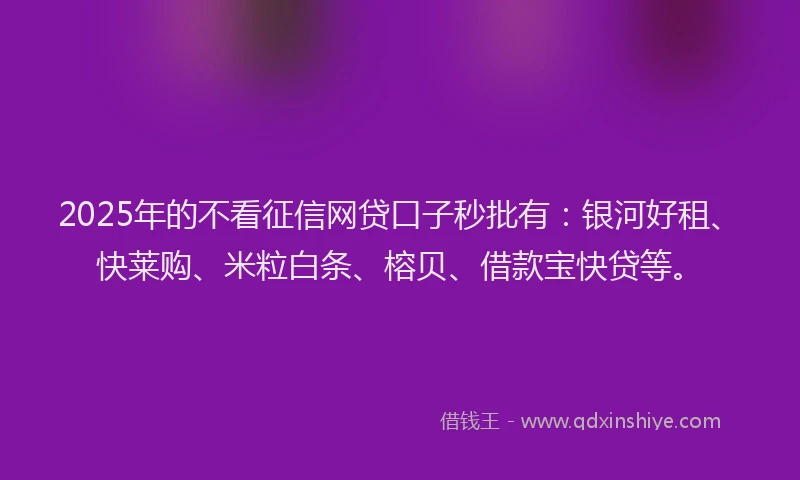 2025年的不看征信网贷口子秒批有：银河好租、快莱购、米粒白条、榕贝、借款宝快贷等。