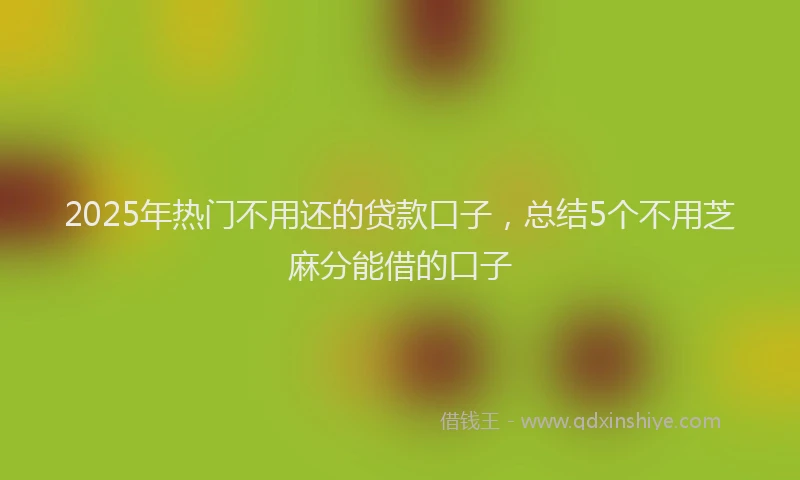 2025年热门不用还的贷款口子，总结5个不用芝麻分能借的口子