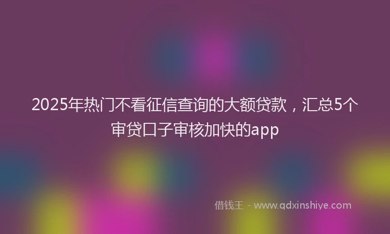 2025年热门不看征信查询的大额贷款，汇总5个审贷口子审核加快的app