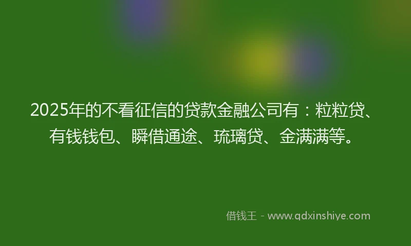 2025年的不看征信的贷款金融公司有：粒粒贷、有钱钱包、瞬借通途、琉璃贷、金满满等。