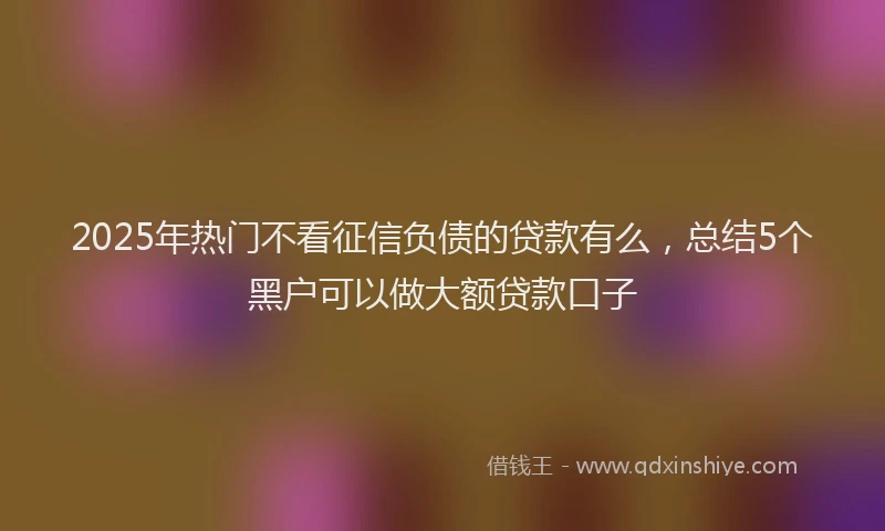 2025年热门不看征信负债的贷款有么，总结5个黑户可以做大额贷款口子