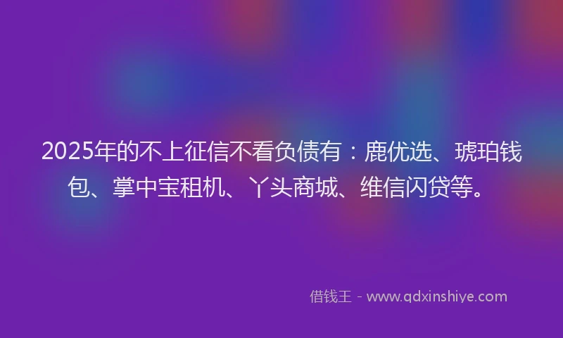 2025年的不上征信不看负债有：鹿优选、琥珀钱包、掌中宝租机、丫头商城、维信闪贷等。