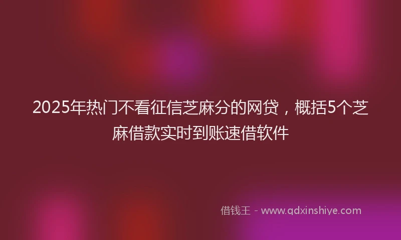 2025年热门不看征信芝麻分的网贷，概括5个芝麻借款实时到账速借软件