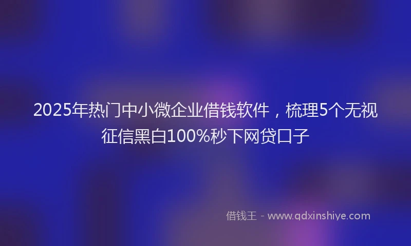 2025年热门中小微企业借钱软件，梳理5个无视征信黑白100%秒下网贷口子