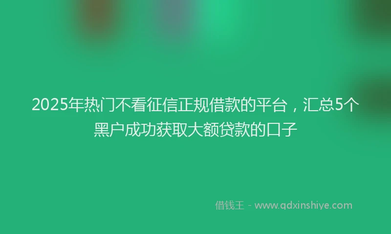 2025年热门不看征信正规借款的平台，汇总5个黑户成功获取大额贷款的口子