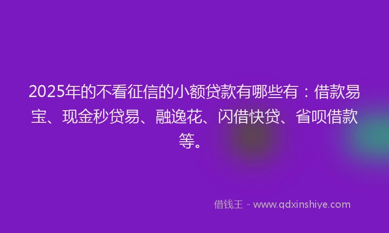2025年的不看征信的小额贷款有哪些有：借款易宝、现金秒贷易、融逸花、闪借快贷、省呗借款等。